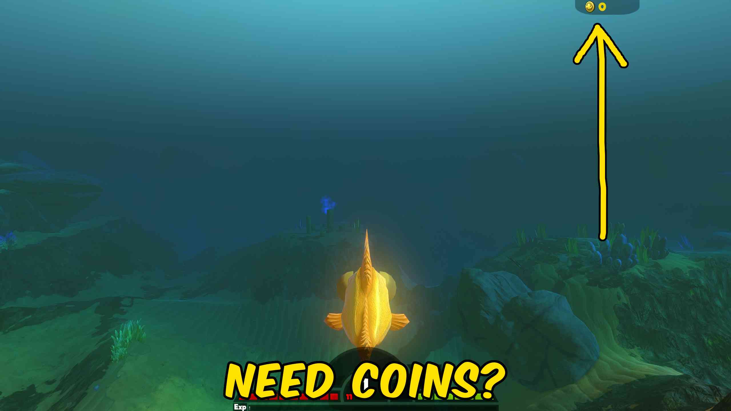 Give Coins